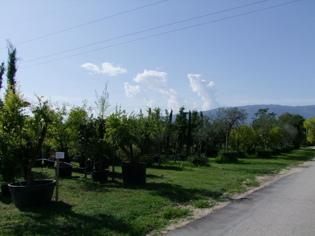 Agriturismo L'Acero Rosso Sacile Exterior foto